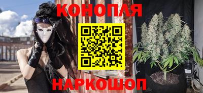 эйфоретик Краснодар