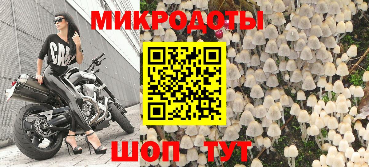 Псилоцибиновые грибы ЛСД  Вход с VPN  Кисловодск  Псилоцибиновые грибы мицелий 